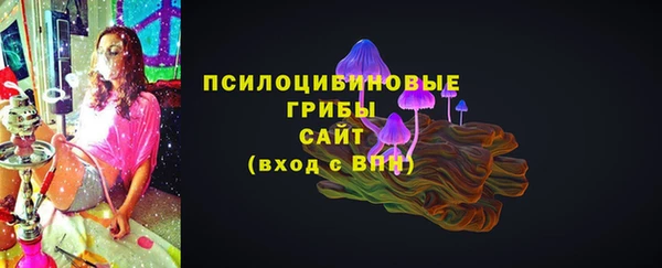 метадон Вяземский