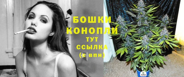 СК Вязники